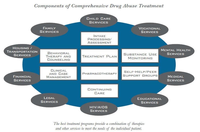 components of comprehensive drug abuse programmes