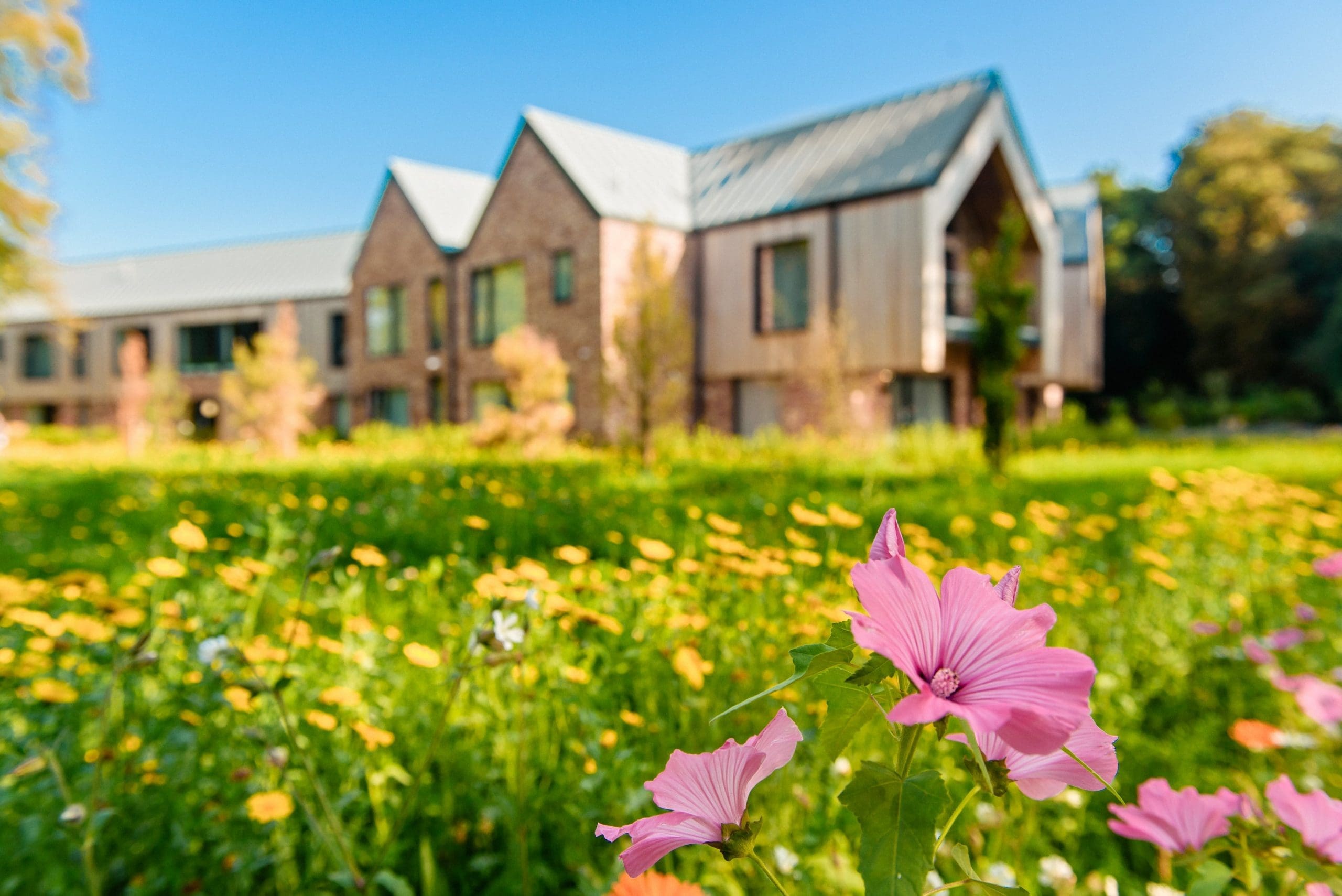 Detox and recovery support at Delamere clinic