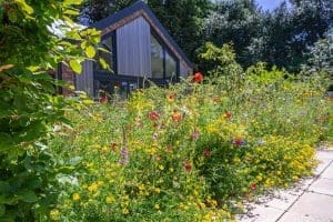 How to recover from a relapse or slip?