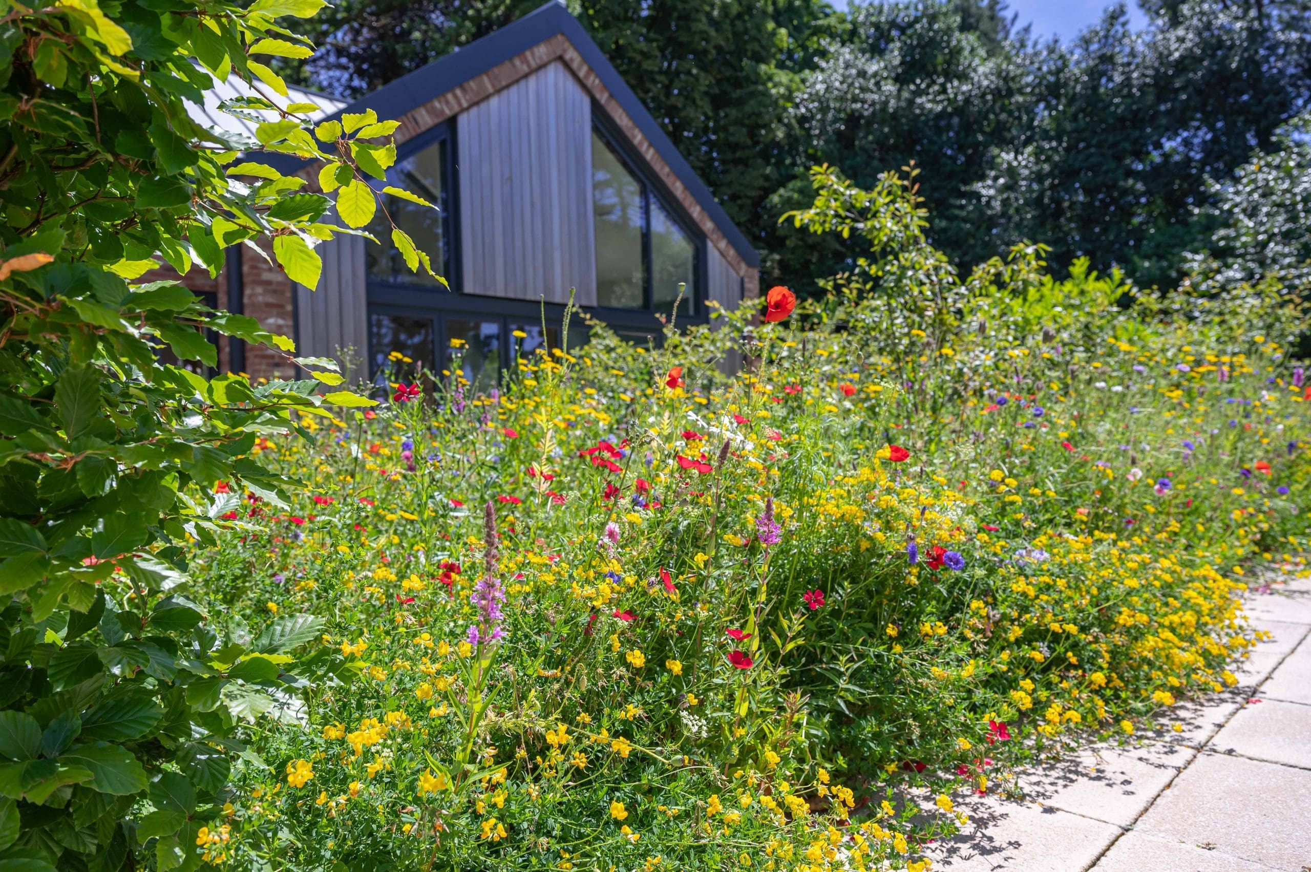 The importance of your environment in recovery