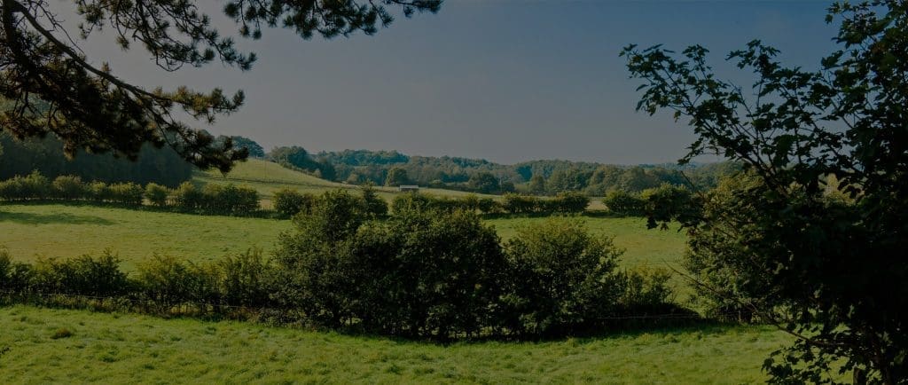 blue skies and field at Delamere