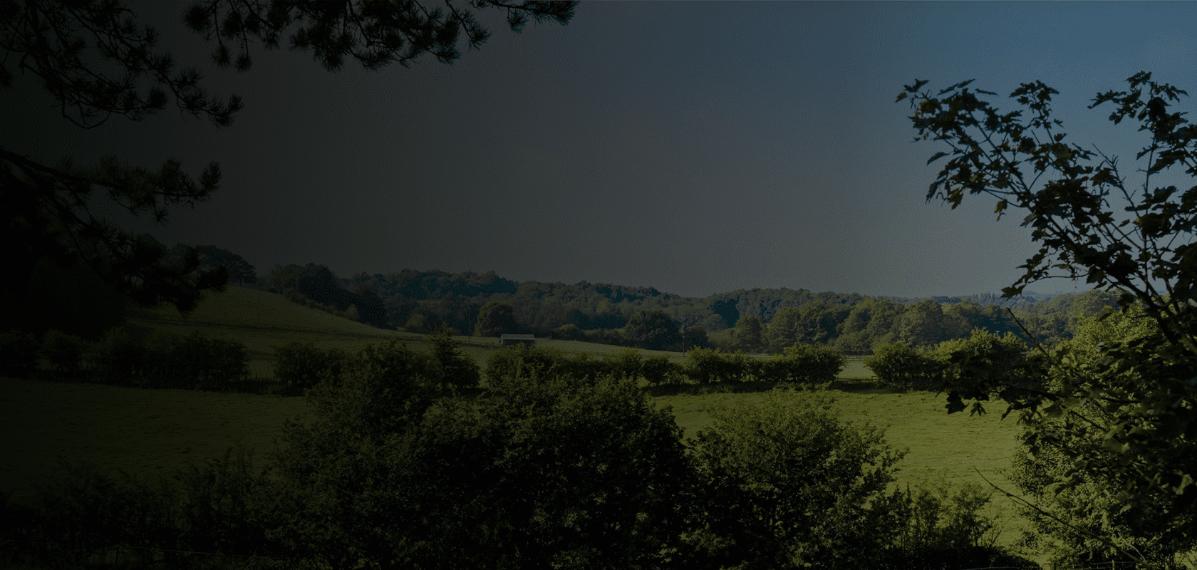 Pornography Addiction