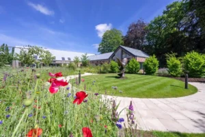 The stages of alcohol or drug relapse (process)