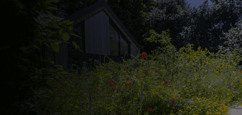 Darkened image of wildflowers at Delamere rehab