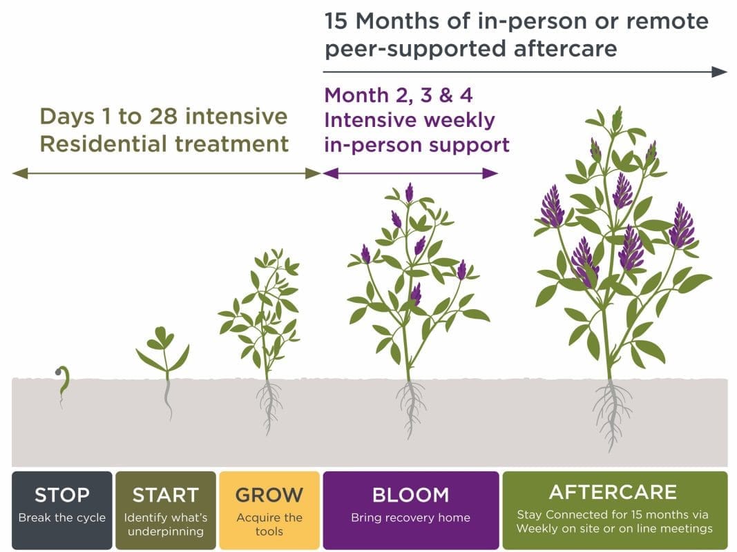 Delamere Treatment Journey Diagram